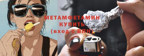 гидра Ессентукская
