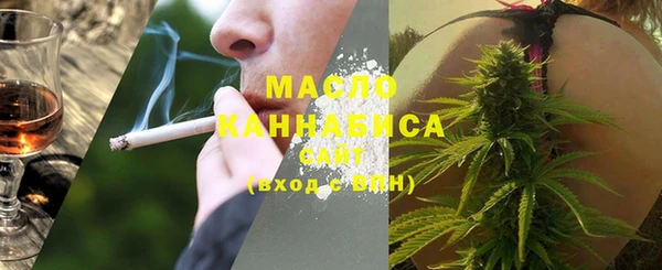 гидра Ессентукская