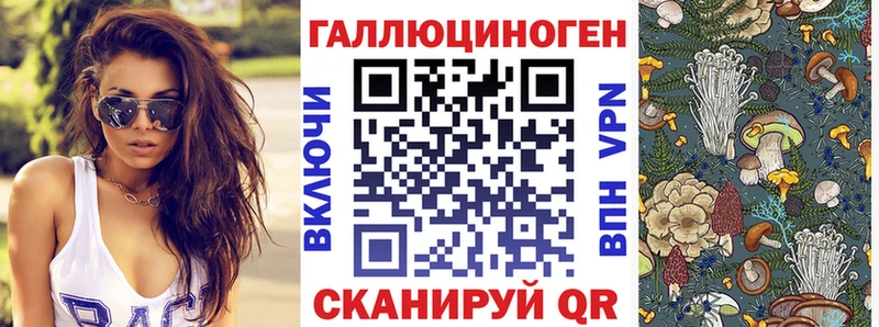 Галлюциногенные грибы Cubensis Купить где Катав-Ивановск